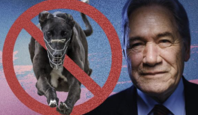 Screenshot 2024-12-11 at 6.42.12 AM